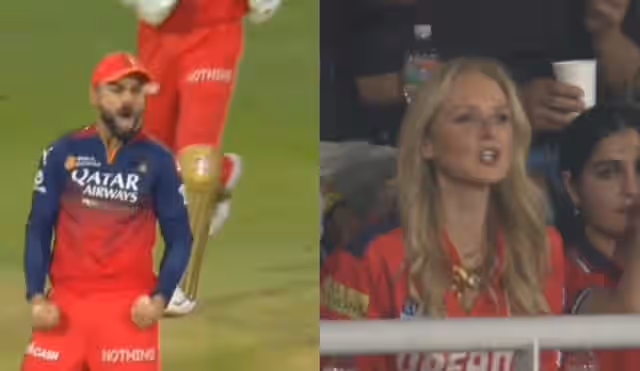 Image for Watch: PBKS’ fan abused Virat Kohli after RCB batter aggressively celebrates a wicket during Qualifier 1 of IPL 2025