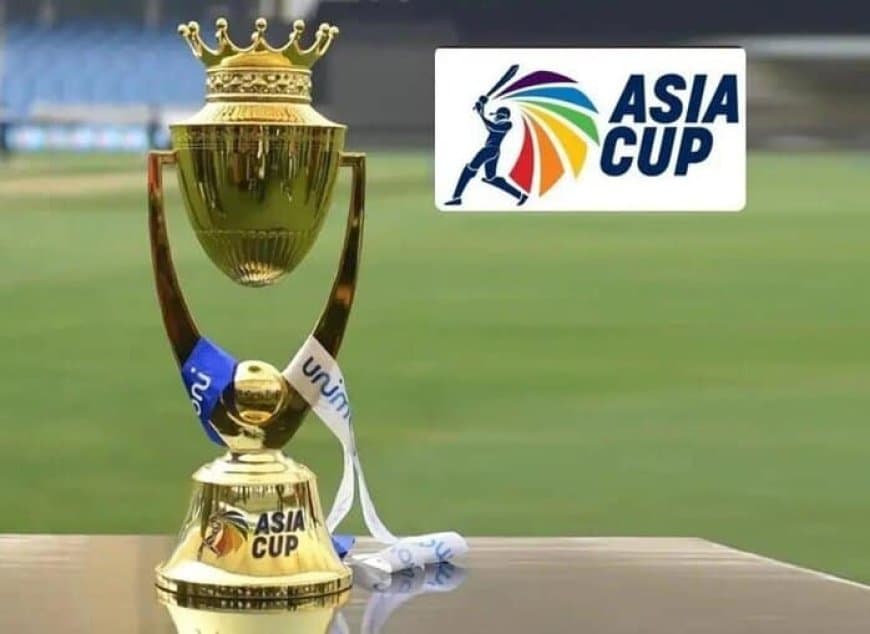 Asia Cup 2022 Review: Most Runs, Most Wickets, and All. Check Out All The Stats and the Full list of MOM Awards of the T20 Asia Cup 2022