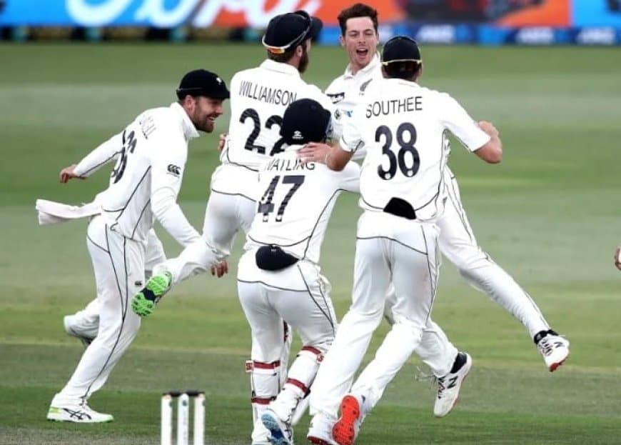 NZ vs PAK: Check the full Squad List of New Zealand against Pakistan | Kane Williamson to lead NZ