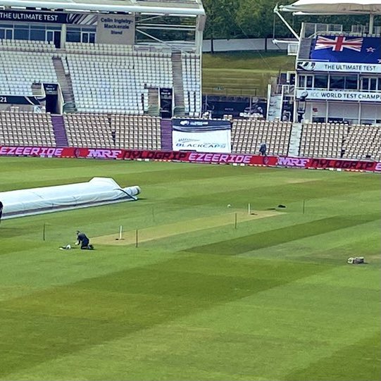 India vs New Zealand Test Surface