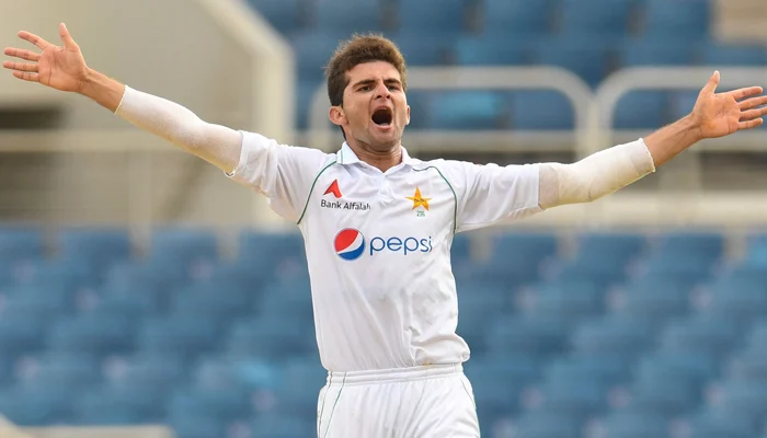 Shaheen Afridi celebrating wicket