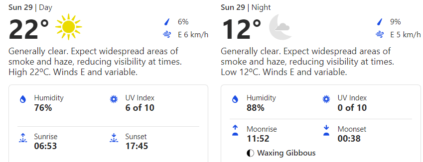 IND vs NZ 2nd T20I: Weather forecast and pitch report for 2nd T20I | Who will win the 2nd T20I | India vs New Zealand