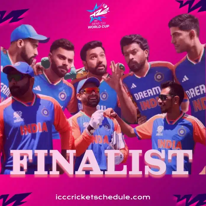 India - finalist in the T20 World Cup 2024